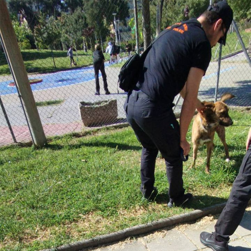 Πρόστιμα για λουρί, τσιπάκι και ακαθαρσίες σε ιδιοκτήτες κατοικιδίων στη Θεσσαλονίκη
