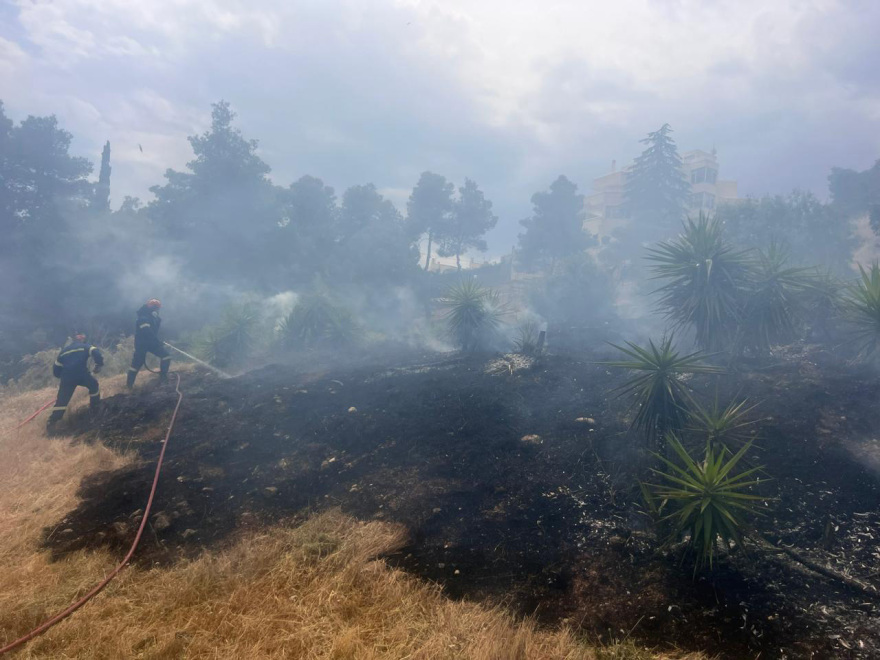 Εξετάζεται η φωτιά στη Φιλοθέη να ξεκίνησε από μελίσσια, αναζητούνται οι μελισσοκόμοι
