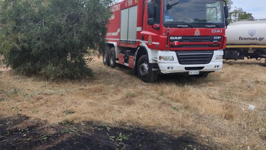 Εξετάζεται η φωτιά στη Φιλοθέη να ξεκίνησε από μελίσσια, αναζητούνται οι μελισσοκόμοι