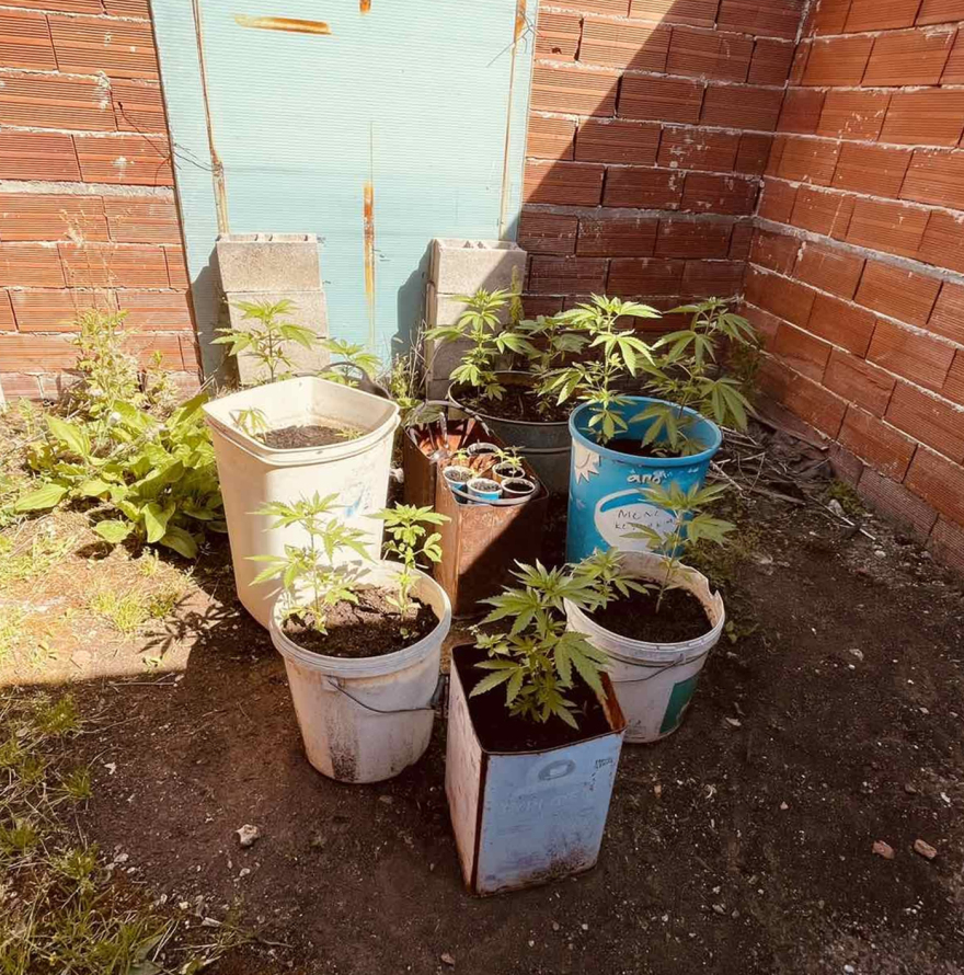 Συγγενείς και συνάδελφοι στις παράνομες επιδοτήσεις από τον ΟΠΕΚΕΠΕ σε Κοζάνη και Αγρίνιο: Δήλωναν εκτάσεις του Δημοσίου, πώς έκρυβαν τα ίχνη τους
