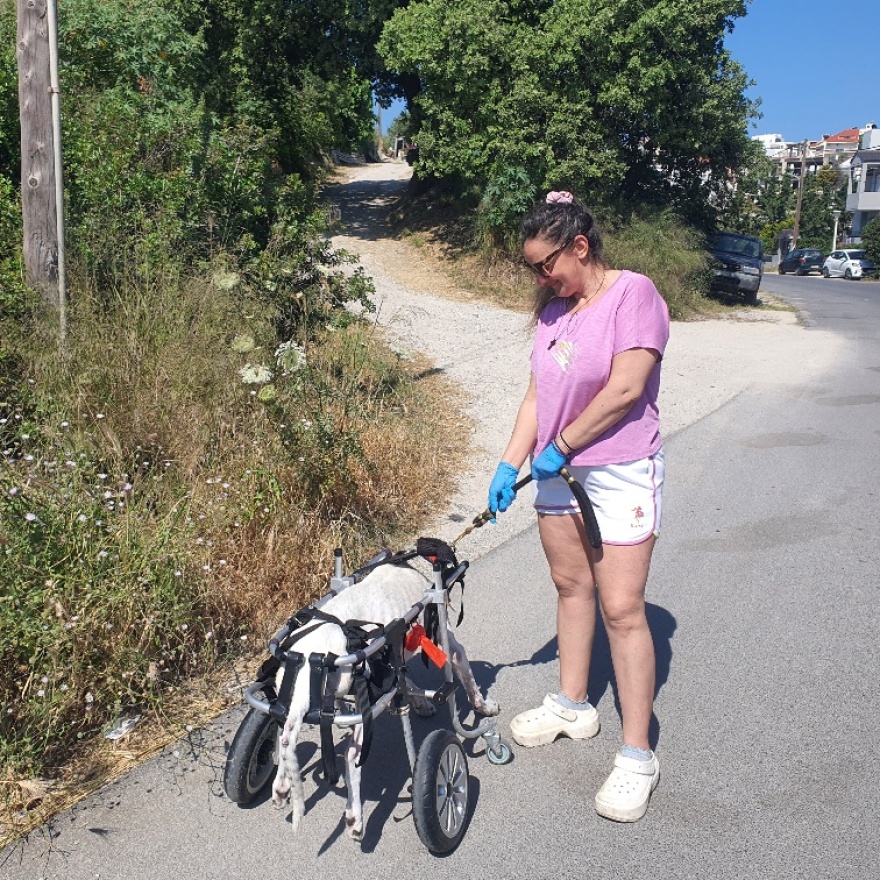 «Δεν τη βλέπω σαν σκυλί, αλλά σαν παιδί μου»: Η Ειρήνη βγάζει κάθε μέρα τη 15χρονη παράλυτη Λαρίτσα βόλτα στη Ρόδο