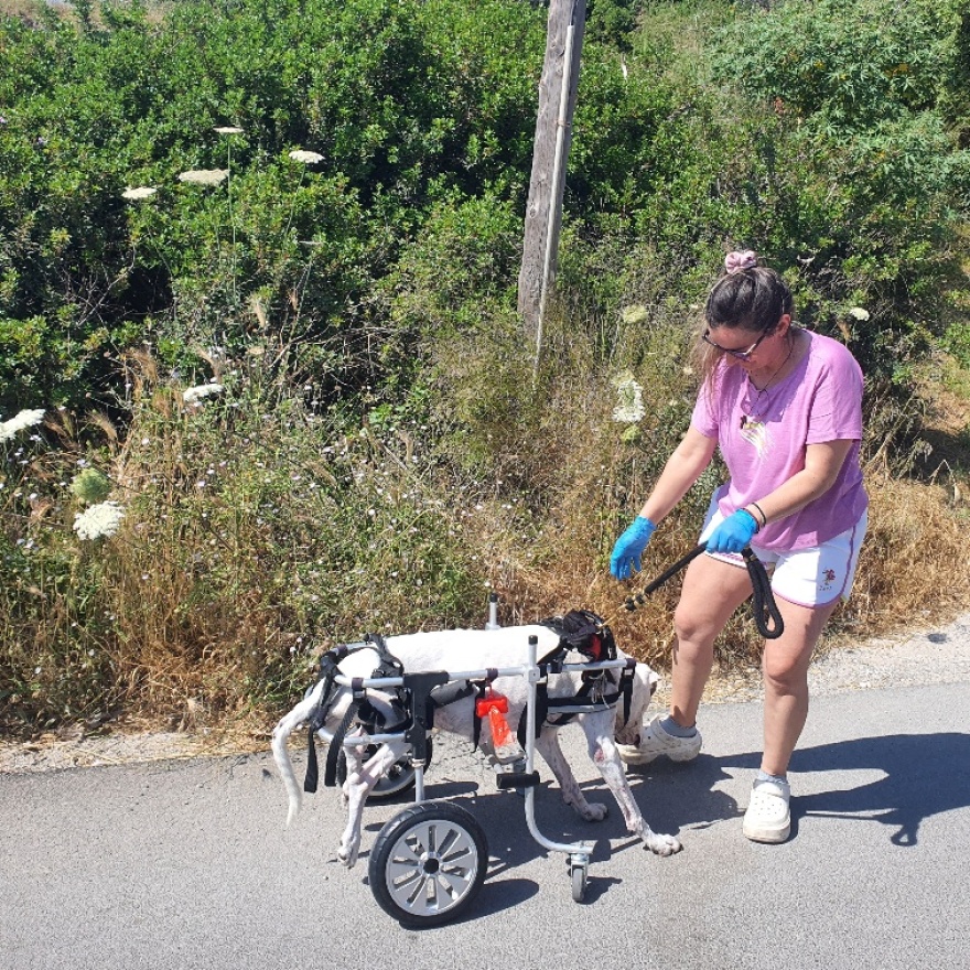 «Δεν τη βλέπω σαν σκυλί, αλλά σαν παιδί μου»: Η Ειρήνη βγάζει κάθε μέρα τη 15χρονη παράλυτη Λαρίτσα βόλτα στη Ρόδο