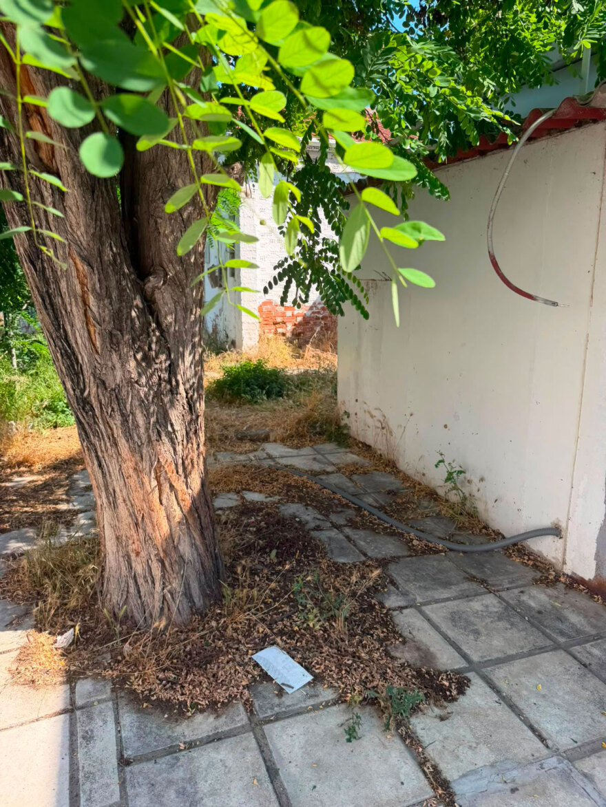 «Τόσα λεφτά δεν είχα σε όλη μου τη ζωή», λέει ο 55χρονος που εγκατέλειψε εννέα γατάκια στη Θεσσαλονίκη και του επιβλήθηκε πρόστιμο 270.000 ευρώ