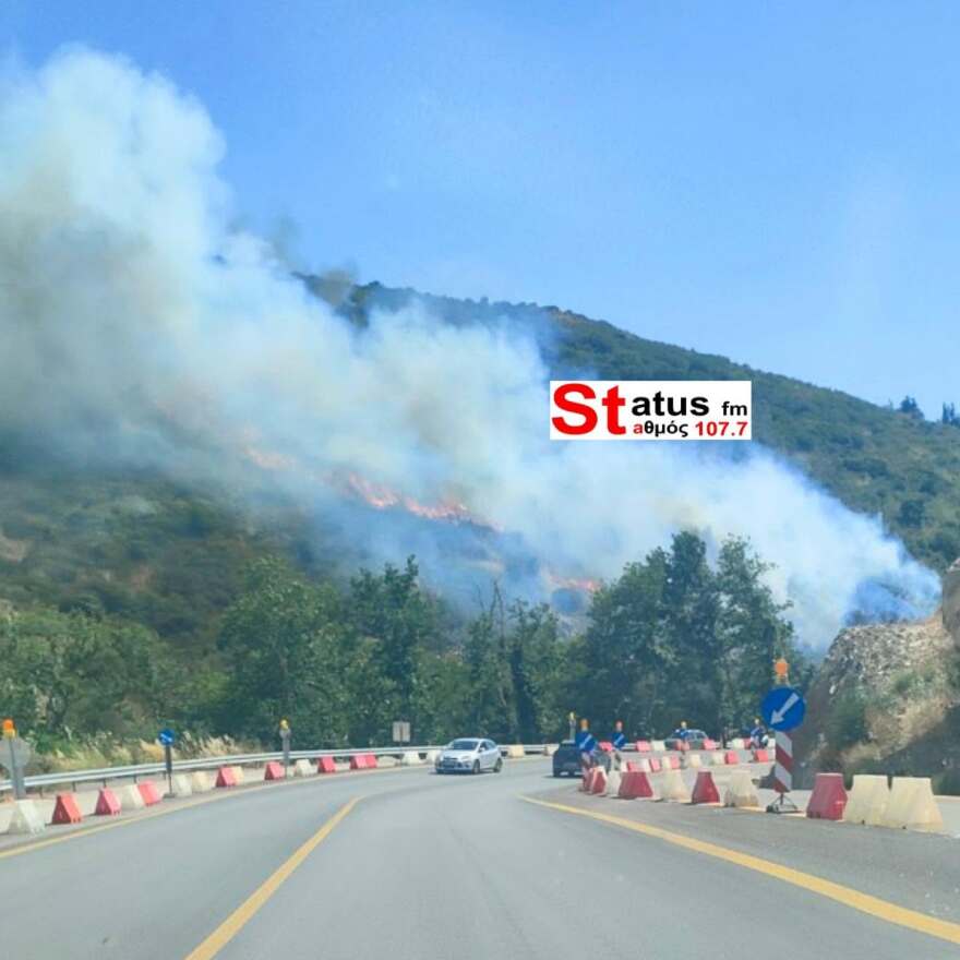 Οριοθετήθηκε η φωτιά στα Πεύκα Θεσσαλονίκης- Ήχησε το 112(vid) 5 Φωτιά τώρα στα Πεύκα Θεσσαλονίκης, επιχειρούν και εναέρια