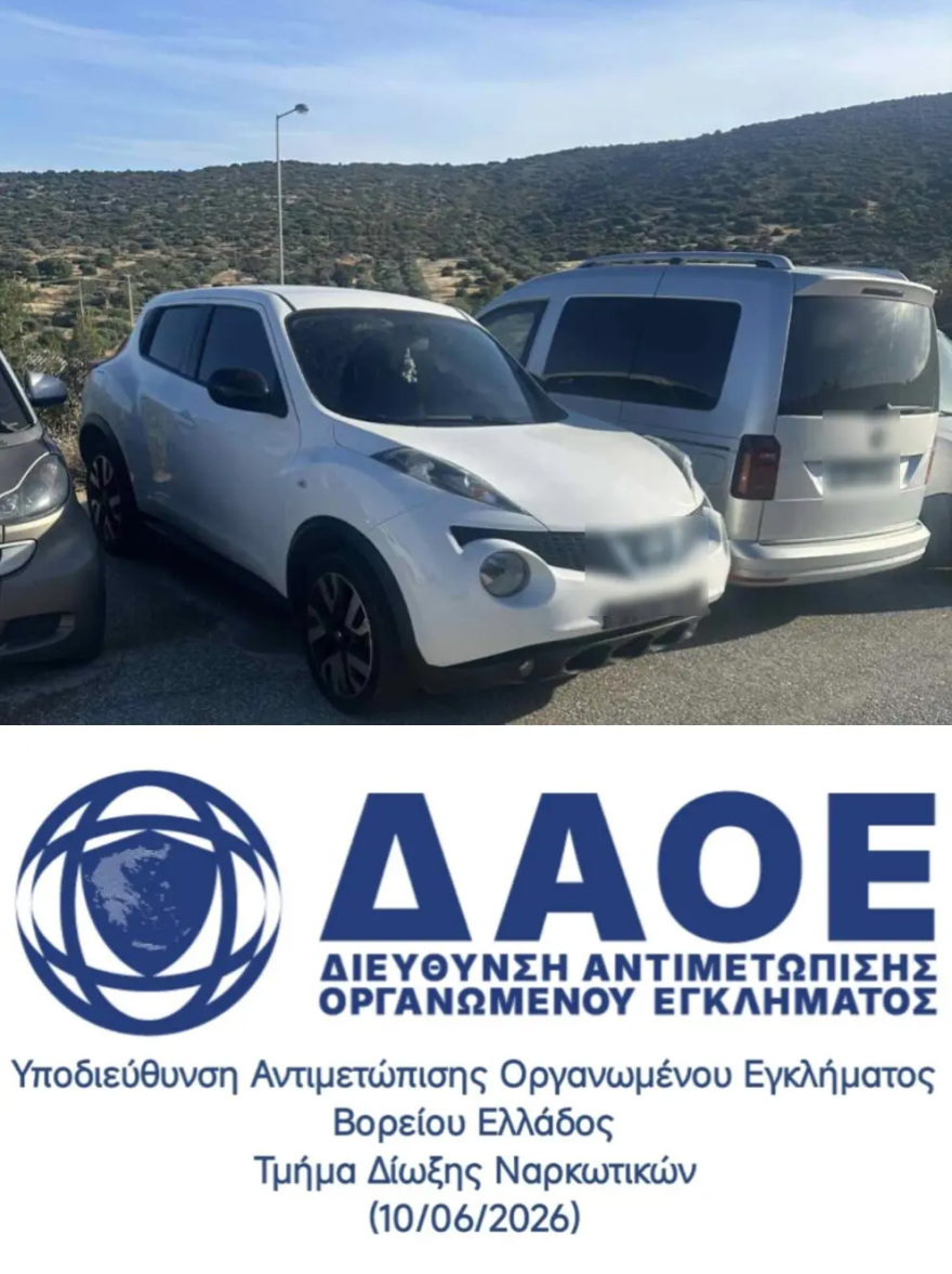 Φυτεία με πάνω από 6.600 δενδρύλλια κάνναβης βρέθηκε και κατασχέθηκε από την ΕΛΑΣ, 11 συλλήψεις 