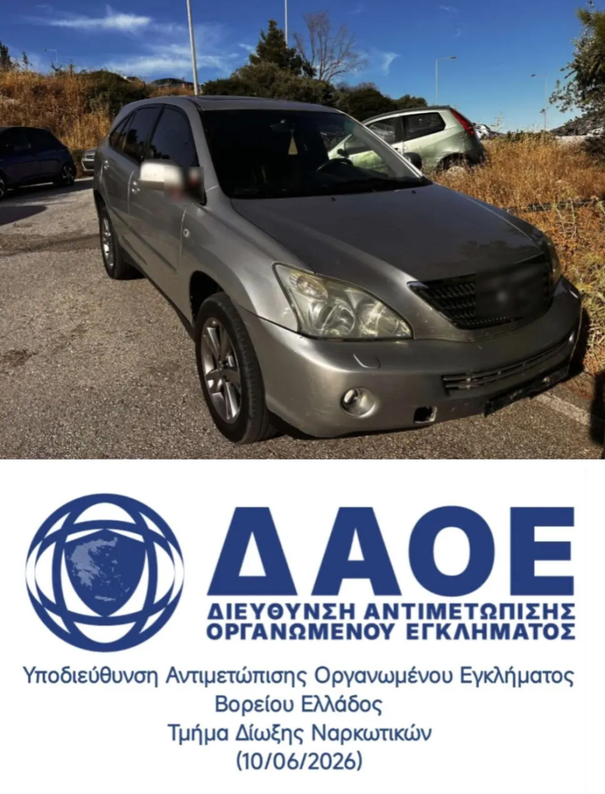 Φυτεία με πάνω από 6.600 δενδρύλλια κάνναβης βρέθηκε και κατασχέθηκε από την ΕΛΑΣ, 11 συλλήψεις 