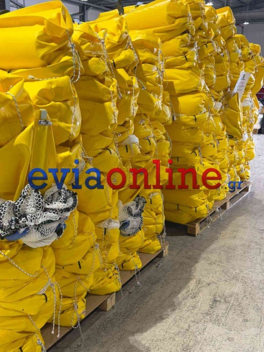 Ασπίδα κατά των μεδουσών σε παραλίες της Εύβοιας: Πού τοποθετούνται τα πρώτα δίχτυα προστασίας
