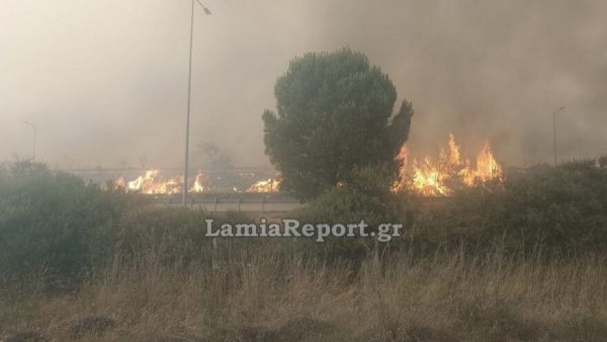 Έκλεισε η Αθηνών - Λαμίας λόγω της φωτιάς στο Ακραίφνιο Βοιωτίας: Επιχειρούν 10 αεροσκάφη και 2 ελικόπτερα