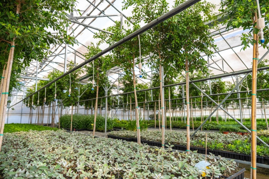 Smart Gardening: περισσότερο πράσινο με λιγότερη συντήρηση