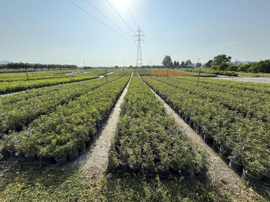 Smart Gardening: περισσότερο πράσινο με λιγότερη συντήρηση