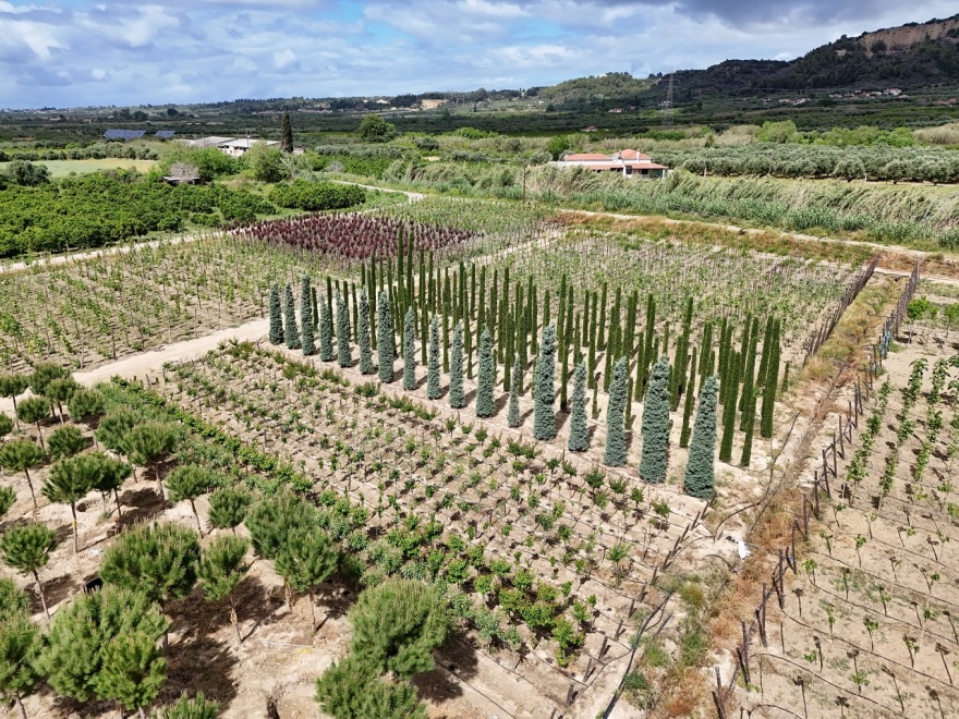 Smart Gardening: περισσότερο πράσινο με λιγότερη συντήρηση
