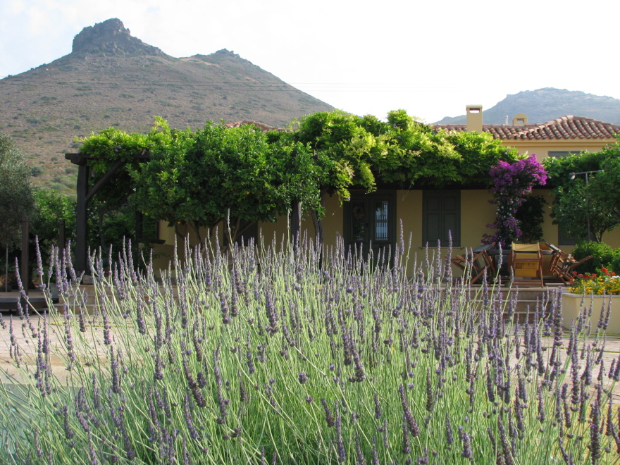 Smart Gardening: περισσότερο πράσινο με λιγότερη συντήρηση