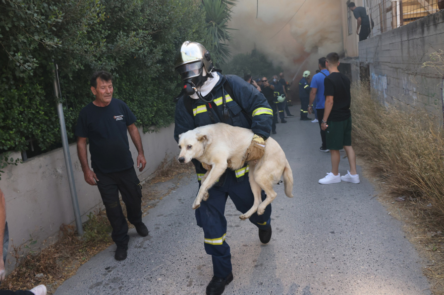Σε ύφεση η πυρκαγιά που ξεκίνησε από εργοστάσιο στο Ηράκλειο, κάηκαν σπίτια