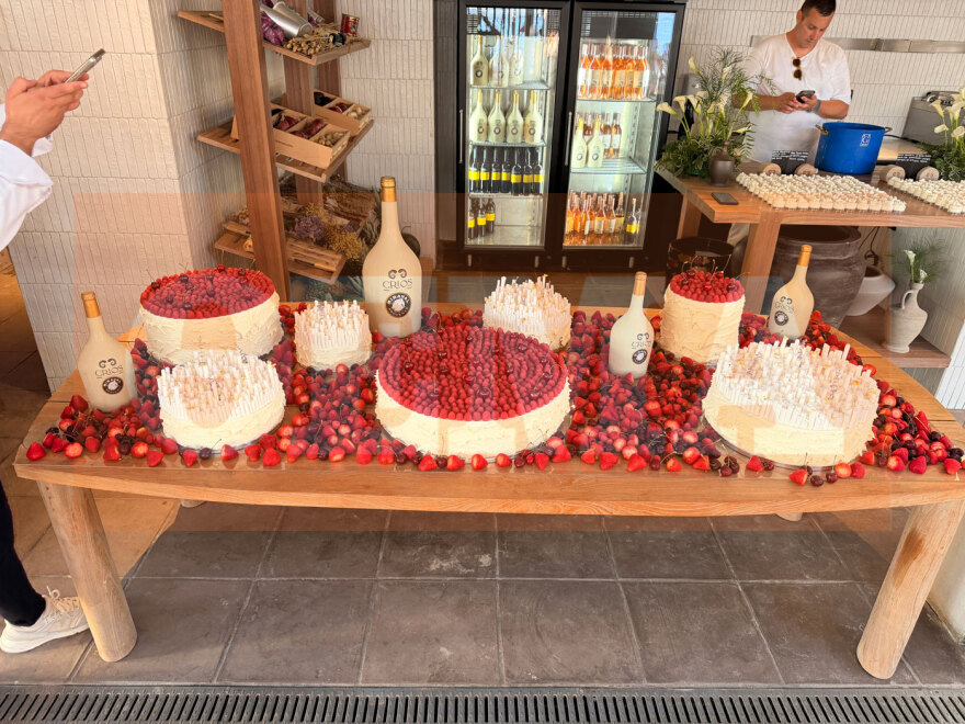 oikonomakou_tserela_party_in__4_