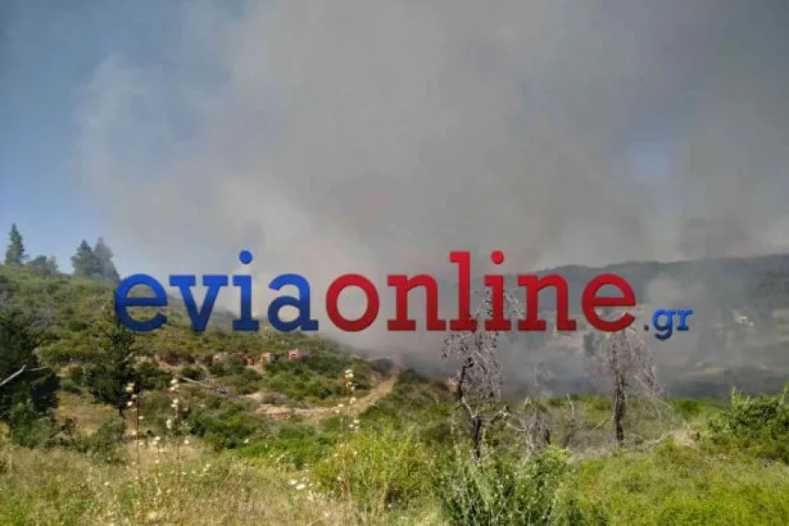 Φωτιά τώρα σε δάσος στο Σπαθάρι Ευβοίας, σηκώθηκαν 11 εναέρια, δείτε βίντεο