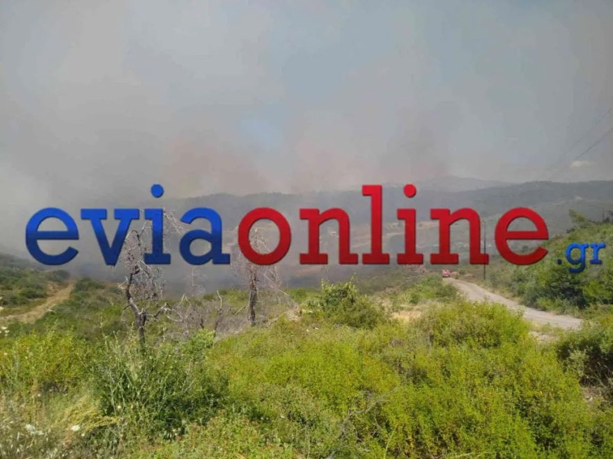 Φωτιά τώρα σε δάσος στο Σπαθάρι Ευβοίας, σηκώθηκαν 11 εναέρια, δείτε βίντεο