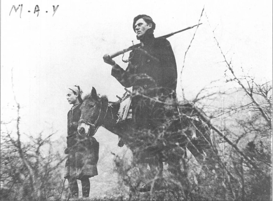 Μονάδες Ασφαλείας Υπαίθρου, Μονάδες Αποσπασμάτων Διώξεως και Τάγματα Εθνοφυλακής Αμύνης: Ο ρόλος και η δράση τους
