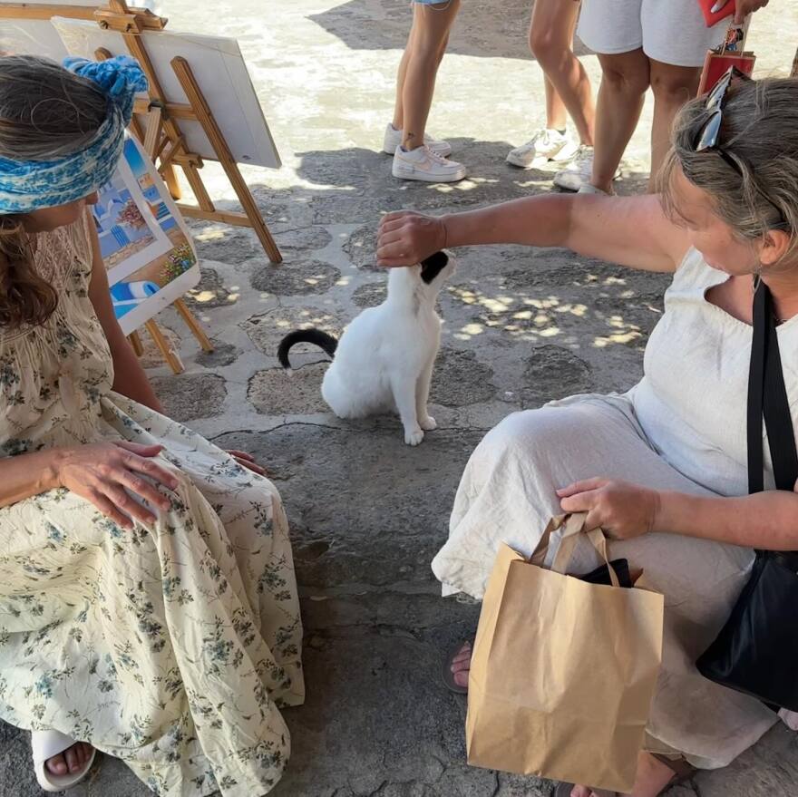 Η Άσλεϊ Τζαντ κάνει διακοπές στην Ελλάδα: Δείτε βίντεο με τις βουτιές της στη θάλασσα
