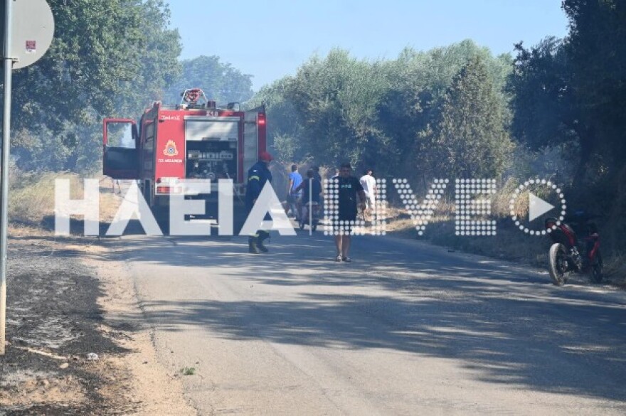 Ανεξέλεγκτη η φωτιά στη Βάρδα Ηλείας: Επιχειρούν 4 εναέρια