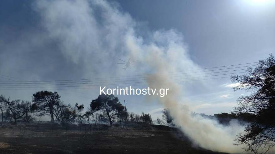 Σε ύφεση η φωτιά στον Άγιο Δημήτριο Κορινθίας, δείτε βίντεο και φωτογραφίες