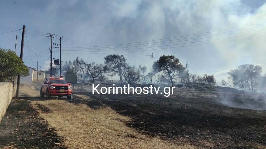 Φωτιά τώρα στον Άγιο Δημήτριο Κορινθίας: Μήνυμα του 112 για εκκένωση σε Φιλοθέη και Θυμαρίωνα, δείτε βίντεο και φωτογραφίες