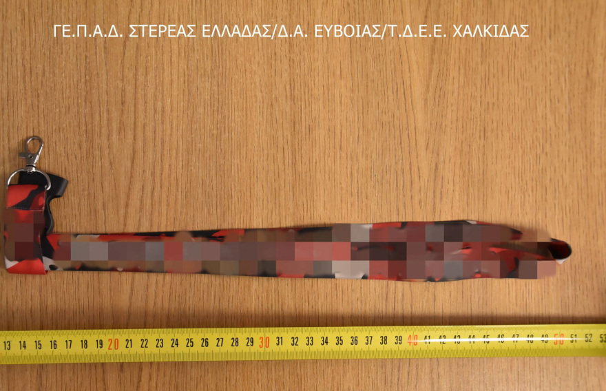 Τέσσερις συλλήψεις μετά από οπαδικό επεισόδιο στην Εύβοια: Επιτέθηκαν σε πατέρα και τα παιδιά του
