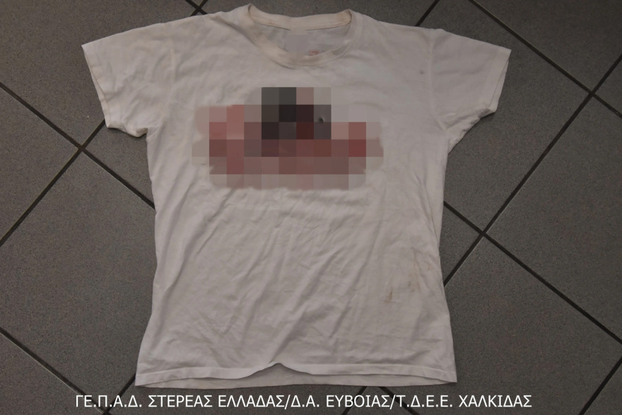 Τέσσερις συλλήψεις μετά από οπαδικό επεισόδιο στην Εύβοια: Επιτέθηκαν σε πατέρα και τα παιδιά του