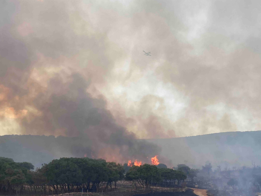 Καλύτερη η εικόνα της φωτιάς στο Καλαπόδι Φθιώτιδας, δείτε βίντεο και φωτογραφίες