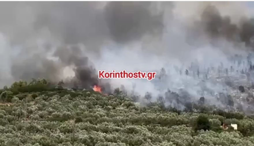 Φωτιά τώρα στο Σπαθοβούνι Κορινθίας: Μήνυμα 112 για ετοιμότητα, σηκώθηκαν 8 εναέρια, βίντεο και φωτογραφίες