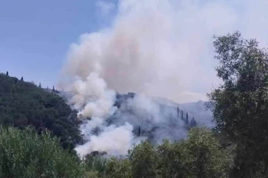 Φωτιά σε αγροτοδασική έκταση στα Βασιλικά Κέρκυρας, σηκώθηκαν και εναέρια μέσα, δείτε βίντεο