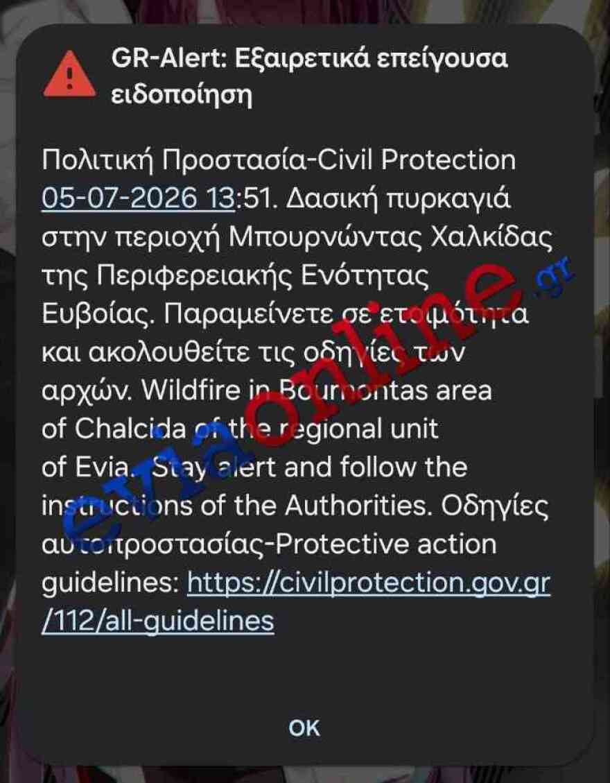 Μεγάλη φωτιά στη Χαλκίδα στη θέση Μπουρνώντα: Εστάλη μήνυμα από το 112, σηκώθηκαν εναέρια μέσα