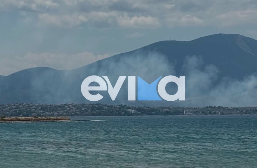 Μεγάλη φωτιά στη Χαλκίδα στη θέση Μπουρνώντα: Εστάλη μήνυμα από το 112, σηκώθηκαν εναέρια μέσα
