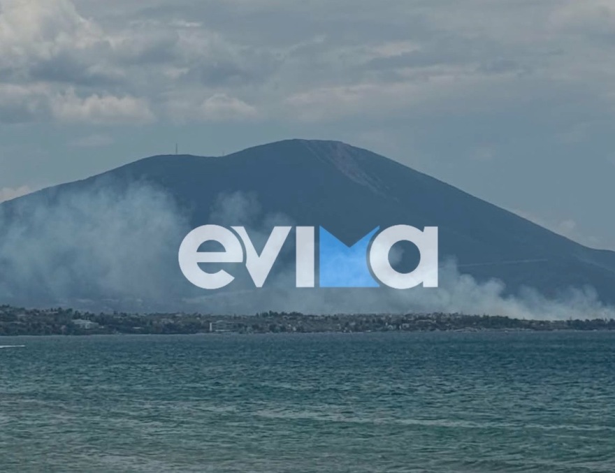 Μεγάλη φωτιά στη Χαλκίδα στη θέση Μπουρνώντα: Εστάλη μήνυμα από το 112, σηκώθηκαν εναέρια μέσα