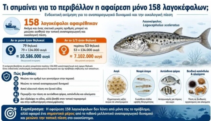 Νεαρός από το Καστελόριζο έσπασε το ρεκόρ: Ψάρεψε 162 λαγοκέφαλους στον πανελλήνιο διαγωνισμό