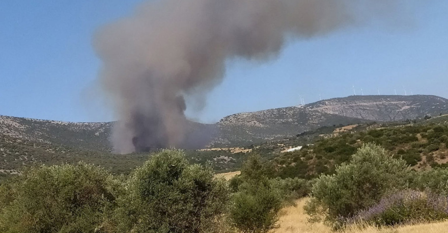 Χωρίς ενεργό μέτωπο η φωτιά στην Αγία Ελένη Τροιζηνίας, εστάλη μήνυμα 112 για εκκένωση προς Άνω Φανάρι, δείτε βίντεο
