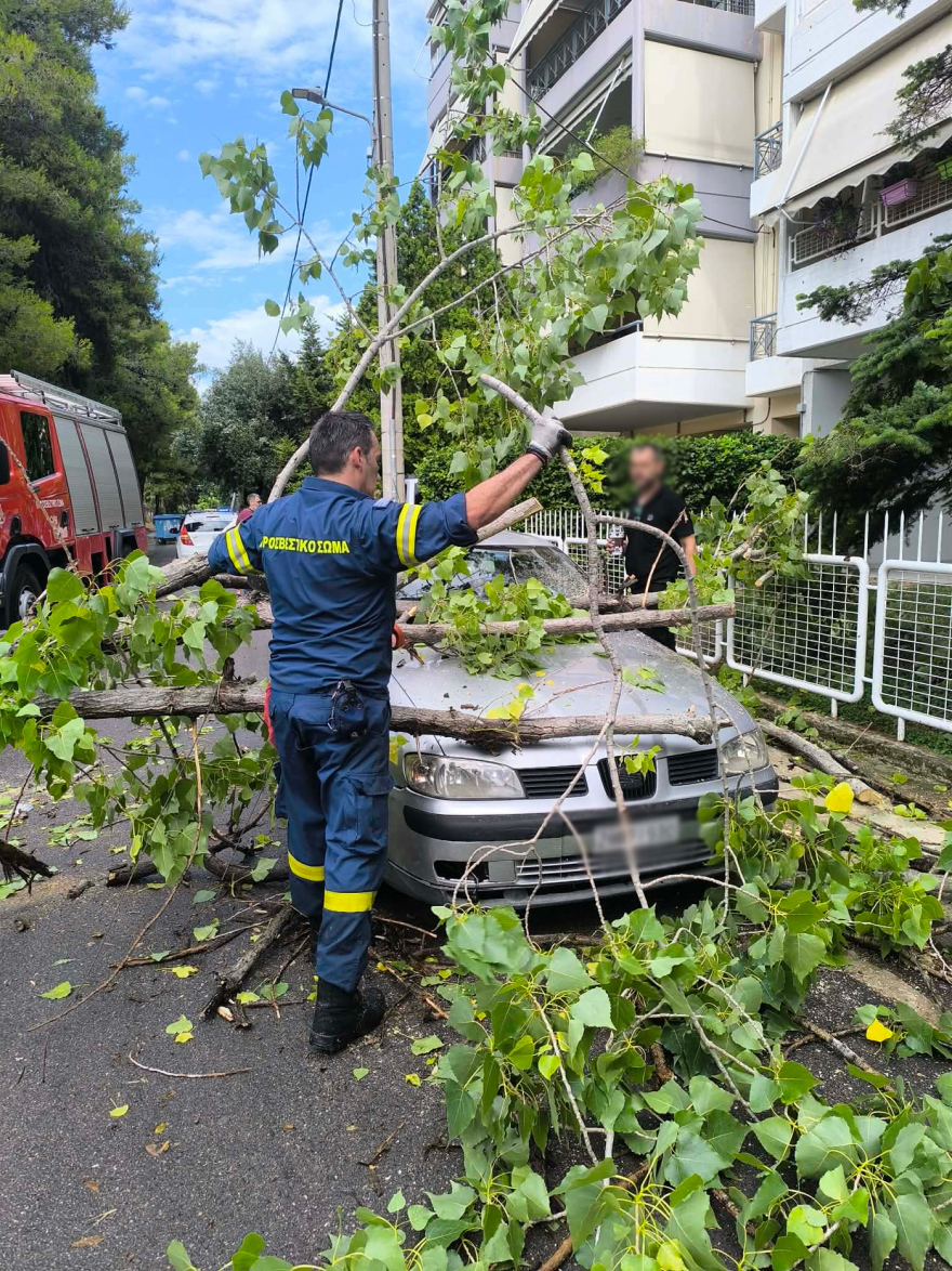 Δέντρο έπεσε πάνω σε αυτοκίνητο στο Μενίδι, δείτε φωτογραφίες
