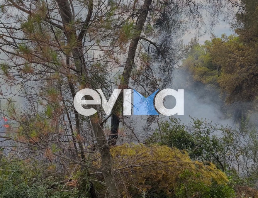 Φωτιά σε δασική έκταση στην Εύβοια, πιθανότατα προκλήθηκε μετά από πτώση κεραυνού 
