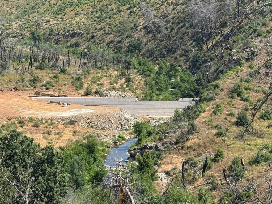Τρία χρόνια μετά τη φωτιά στη Δαδιά: Έργα αποκατάστασης, αναδασώσεις και μέτρα πρόληψης νέων πυρκαγιών