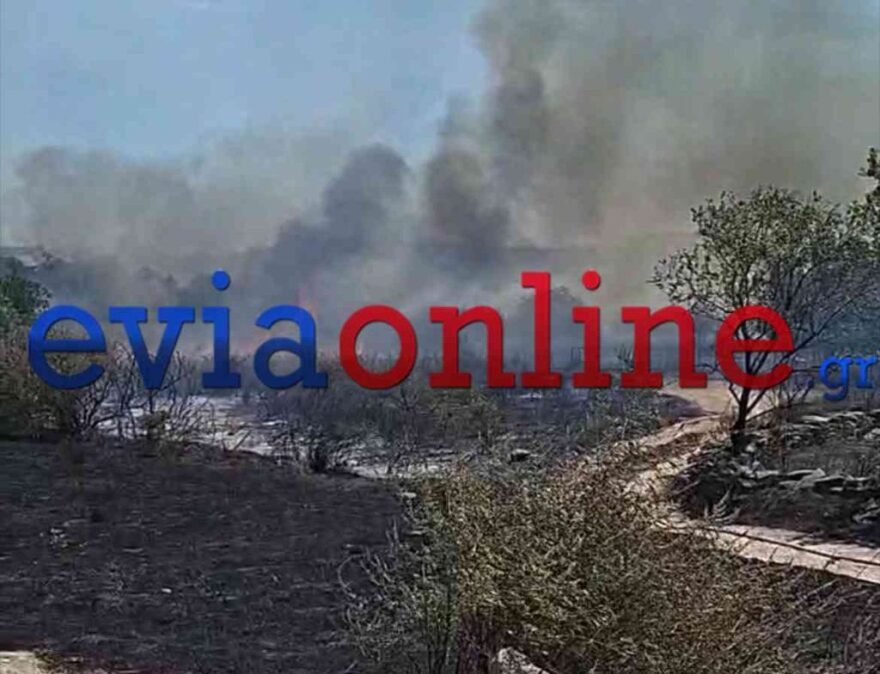 Χωρίς ενεργό μέτωπο η φωτιά στο Αλιβέρι Ευβοίας