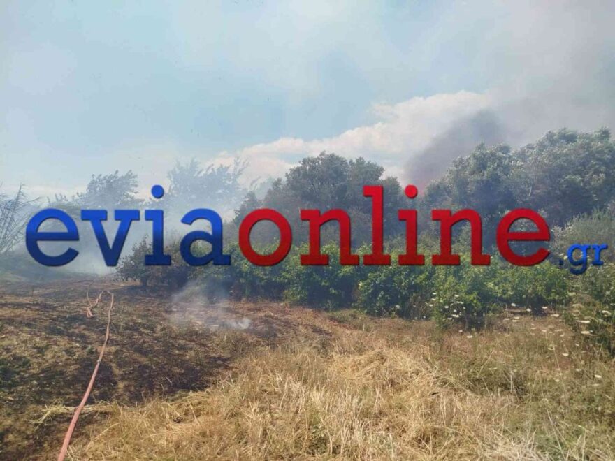 Μαίνεται η φωτιά στο Αλιβέρι, 112 για εκκένωση του Προφήτη Ηλία