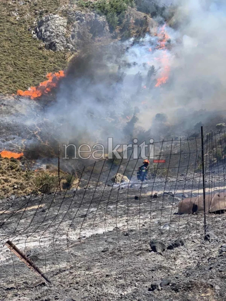 Φωτιά στο Μελιδοχώρι Ηρακλείου: 112 για εκκένωση δύο περιοχών, οι ισχυροί άνεμοι αναζωπυρώνουν το μέτωπο
