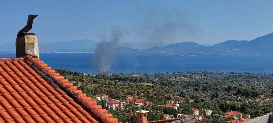 Φωτιά σε δάσος στα Πολιτικά Εύβοιας- Σηκώθηκαν και εναέρια 6 Φωτιά τώρα σε δάσος στα Πολιτικά Εύβοιας, σηκώθηκαν 5 εναέρια, δείτε φωτογραφίες