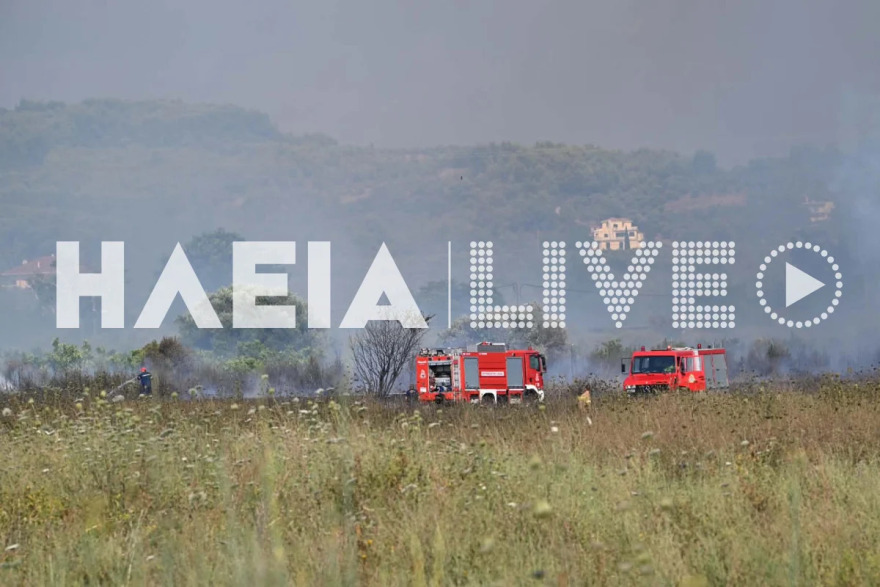 Χωρίς ενεργό μέτωπο η φωτιά στον Πύργο Ηλείας, δείτε φωτογραφίες 
