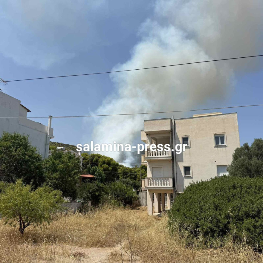 Οριοθετήθηκε η φωτιά στη Σαλαμίνα: Έκαιγε κοντά σε σπίτια, πολίτες απομακρύνθηκαν προς παραλία 12 Φωτιά κοντά σε σπίτια στα Σελίνια Σαλαμίνας, 112 για απομάκρυνση προς παραλία