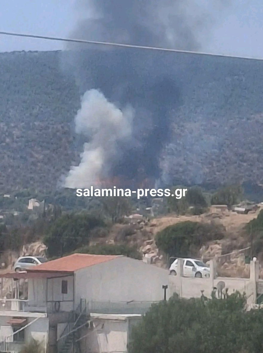 Οριοθετήθηκε η φωτιά στη Σαλαμίνα: Έκαιγε κοντά σε σπίτια, πολίτες απομακρύνθηκαν προς παραλία 11 Φωτιά κοντά σε σπίτια στα Σελίνια Σαλαμίνας, 112 για απομάκρυνση προς παραλία