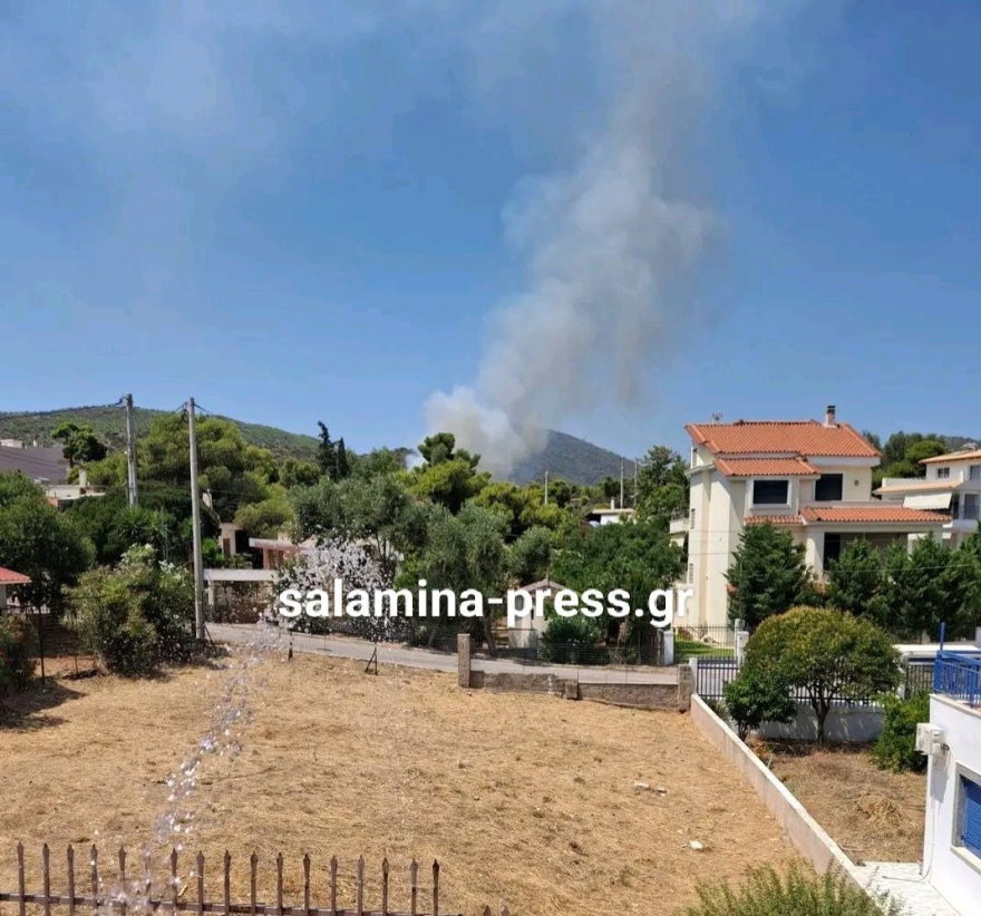 Οριοθετήθηκε η φωτιά στη Σαλαμίνα: Έκαιγε κοντά σε σπίτια, πολίτες απομακρύνθηκαν προς παραλία 9 Φωτιά κοντά σε σπίτια στα Σελίνια Σαλαμίνας, 112 για απομάκρυνση προς παραλία