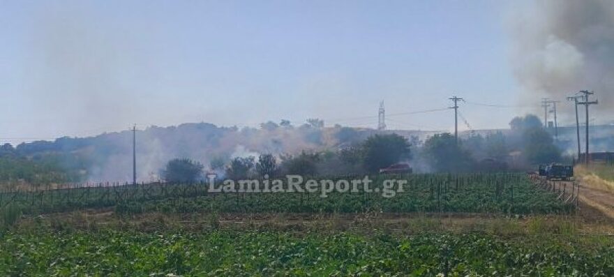 Οριοθετήθηκε η φωτιά στο Παλαιοχώρι Φθιώτιδας, δείτε βίντεο και φωτογραφίες