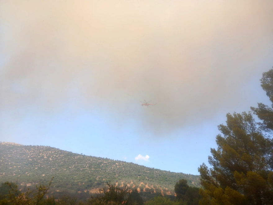 fotia-epidauros__5_