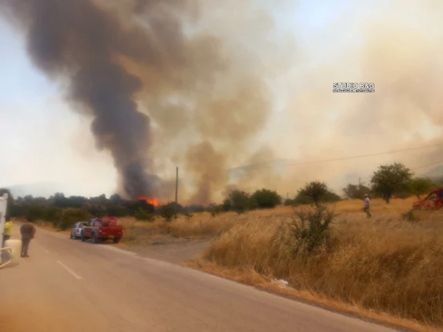 Φωτιά τώρα στην Επίδαυρο, καιεί ξερά χόρτα κοντά στο χωριό Αδάμι - Επιχειρούν 60 πυροσβέστες, σηκώθηκαν δύο αεροσκάφη και δύο ελικόπτερα
