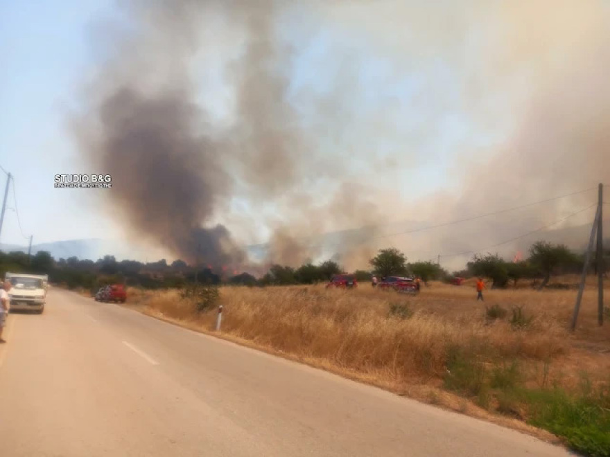 Φωτιά τώρα στην Επίδαυρο, καιεί ξερά χόρτα κοντά στο χωριό Αδάμι - Επιχειρούν 60 πυροσβέστες, σηκώθηκαν δύο αεροσκάφη και δύο ελικόπτερα